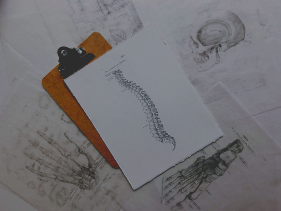 Toorak Chiropractor Skeleton Image on Clipboard